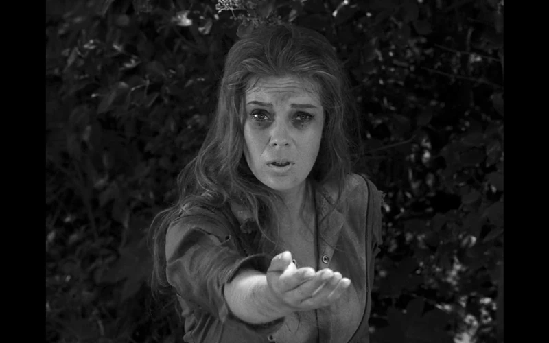 The Twilight Zone (1990s) 5x9 - Probe 7, Over and Out