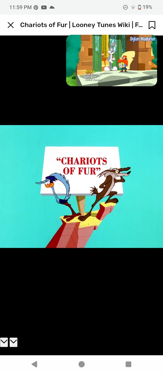 Chariots of fur