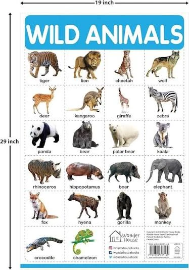 littlest pet animals