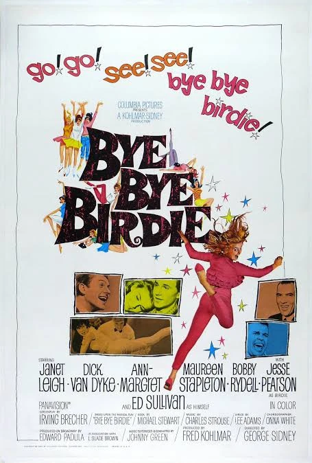 BYE BYE BIRDIE - 2025 - MINI TV SERIES