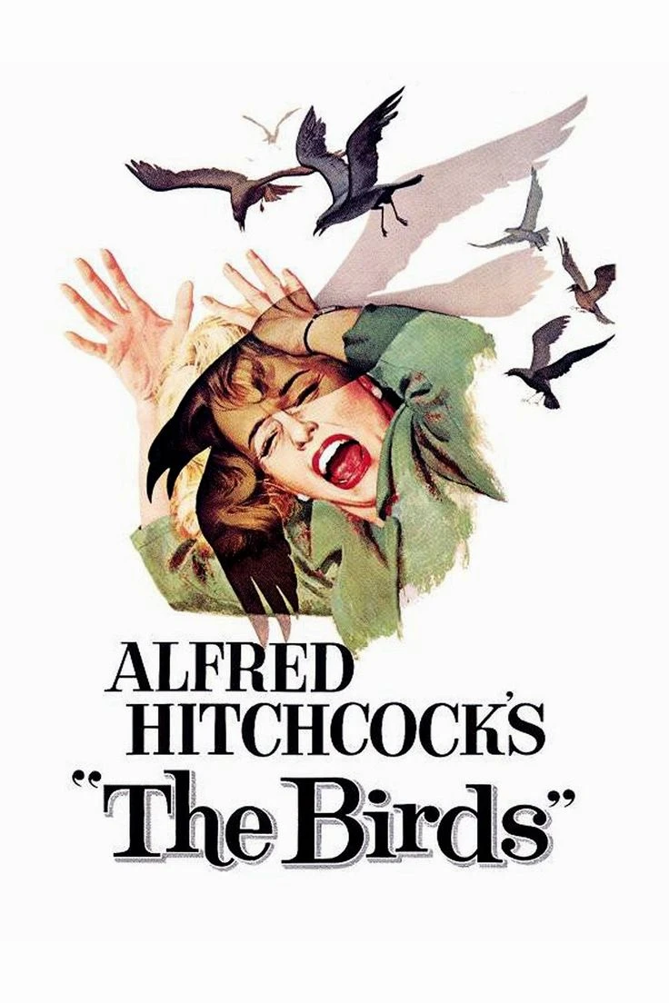The birds