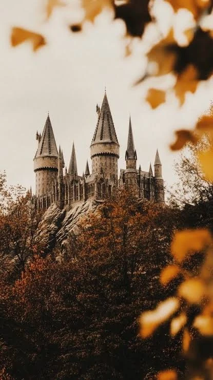 Harry Potter Next Generation