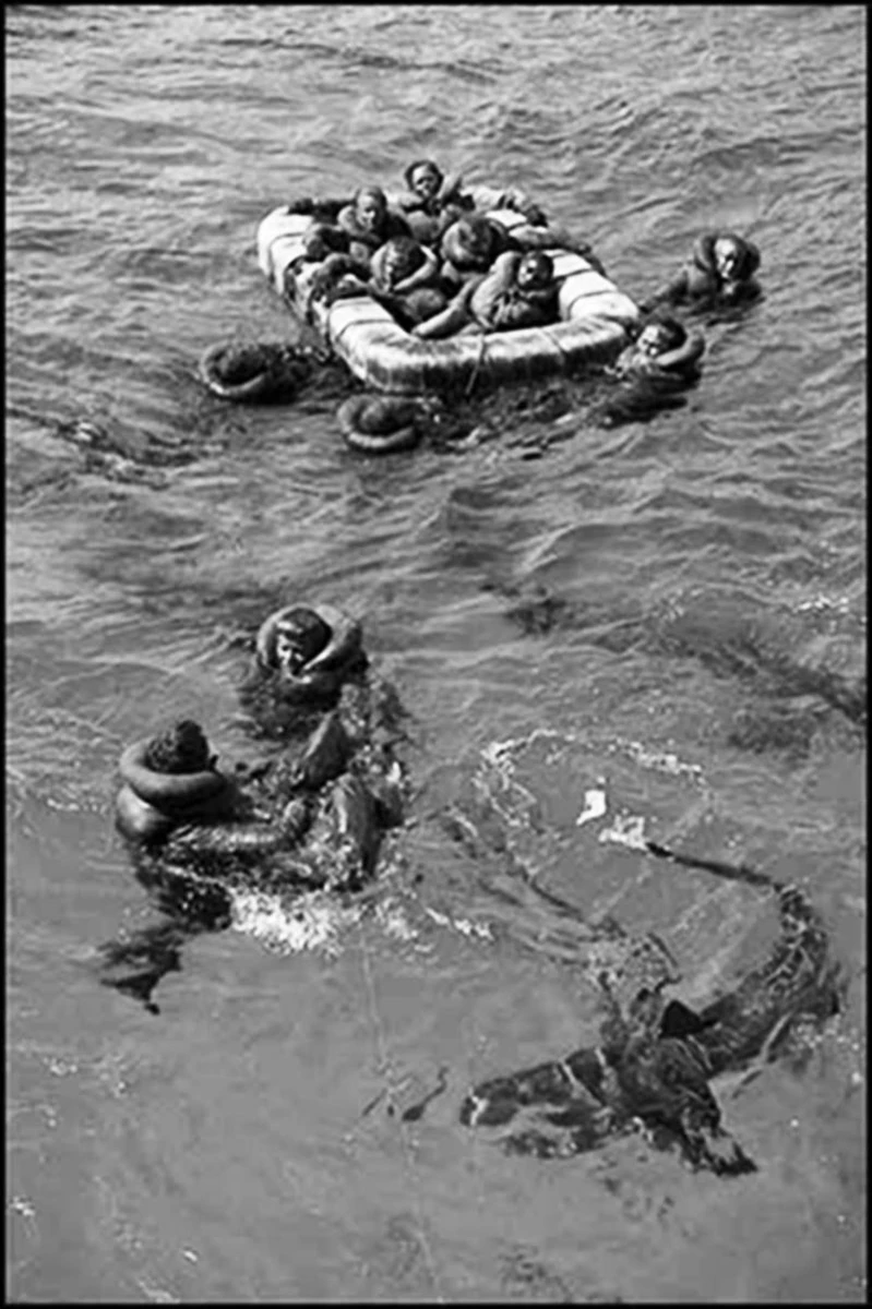 Jaws: World War II