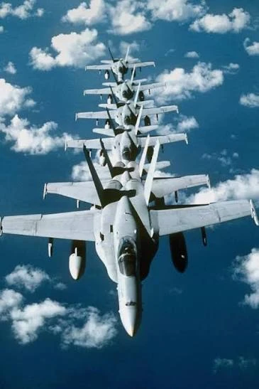 Steel Birds: Wings of Gold