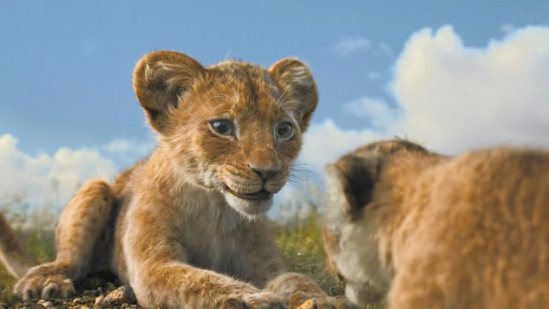SIMBA'S PRIDE: The Lion King (Live Action Reboot)