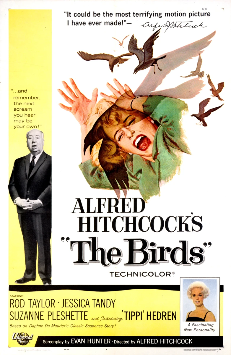 The Birds (1993)
