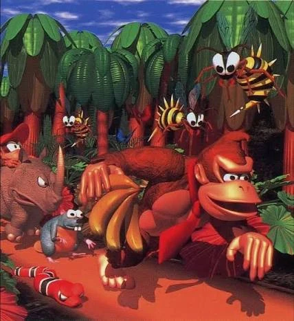 Donkey Kong Country
