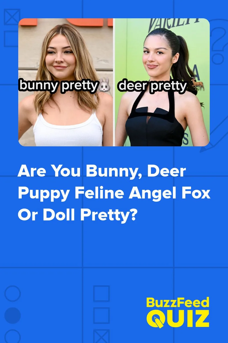 Types of Pretty Fan Cast | myCast.io
