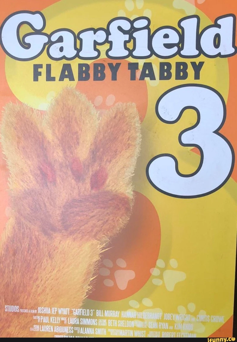 Garfield 3: Flabby Tabby (2010)