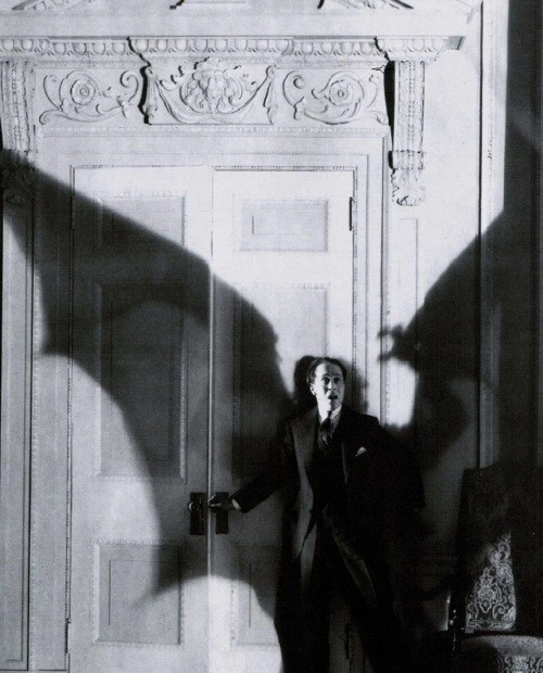 Every Verison of Dracula