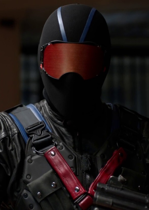Vigilante (TV Series)