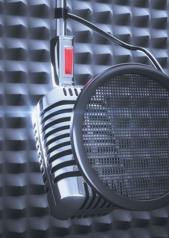 Voice Actor Biopics