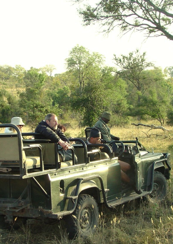 Voices of the Safari.