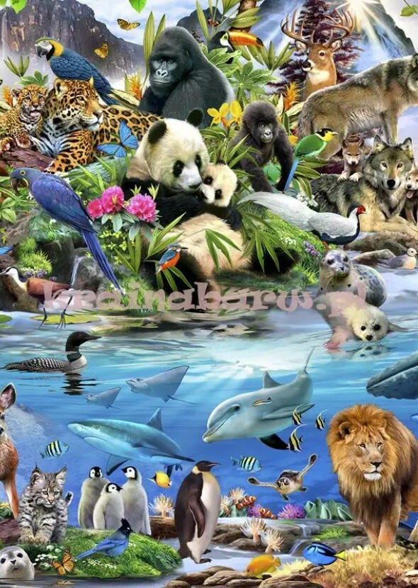 Voices of the Wildlife