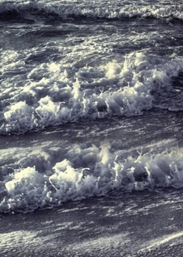 Ocean city movie