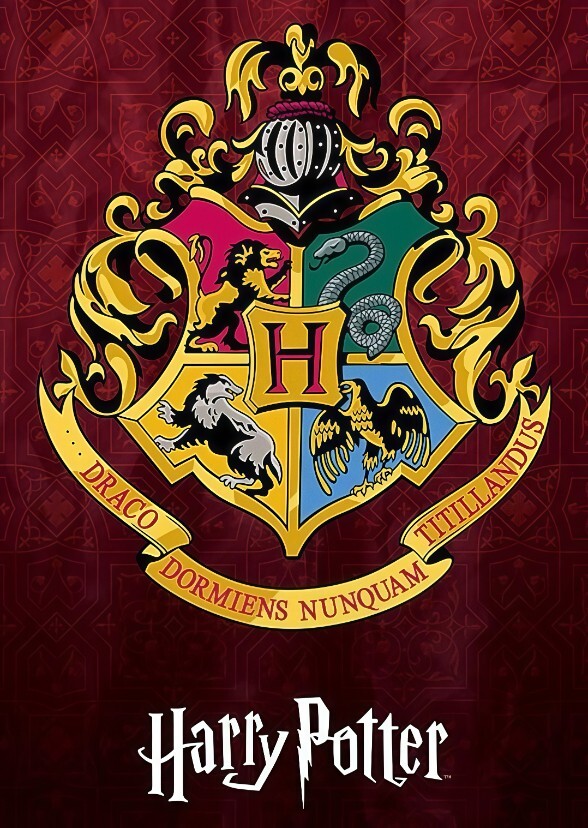 Warner Bros. Characters in Hogwarts Houses