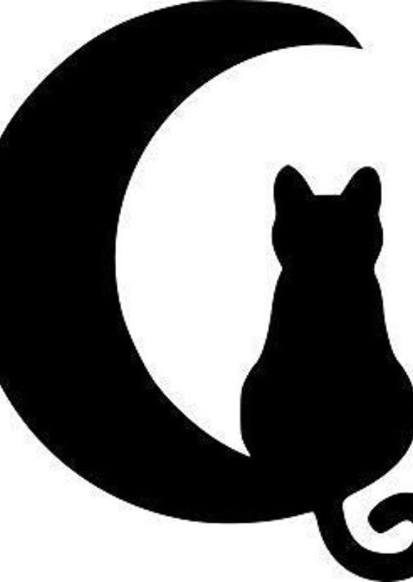 Warriors A Starless Clan 