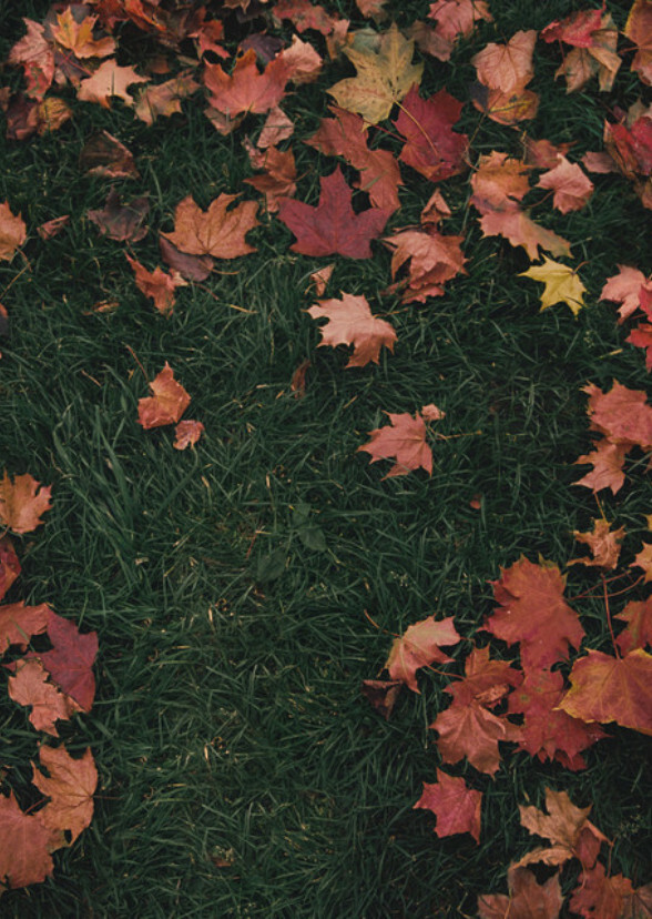 We Fell In Love In October