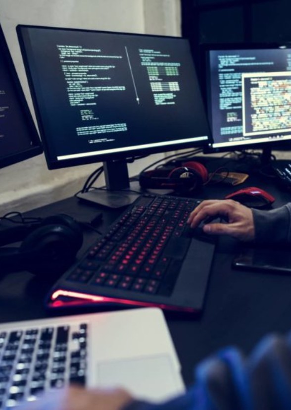 Web Design & Development Agency