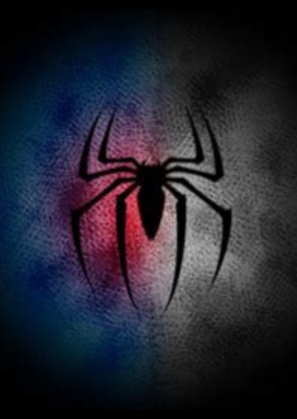 Web Warriors