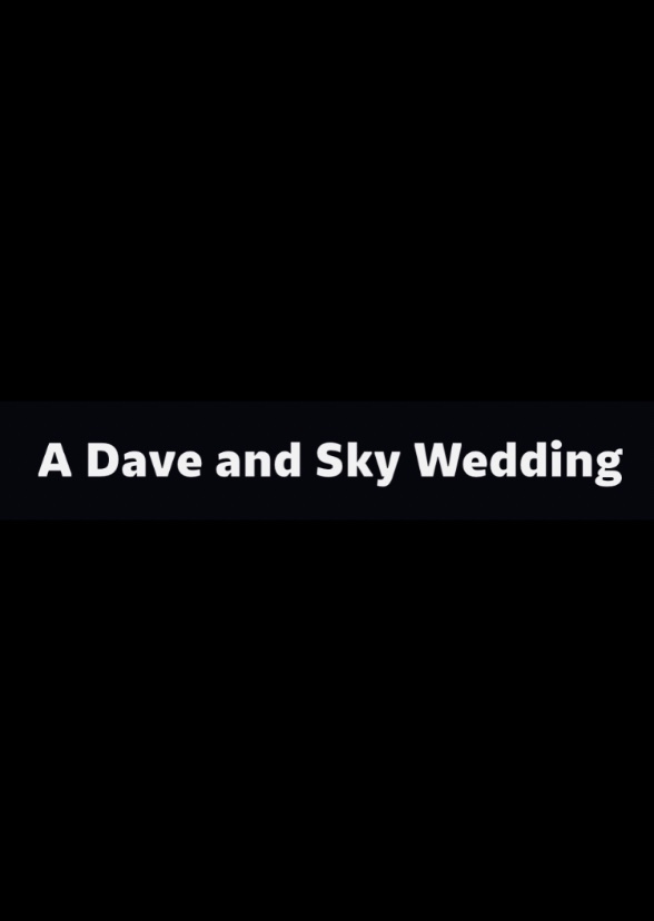 A Dave and Sky Wedding Chapter 14