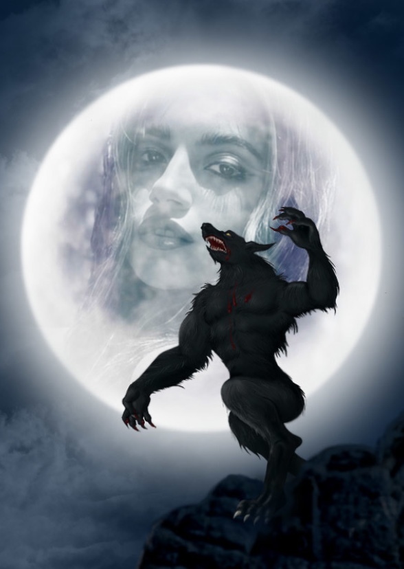 West Drive: Snow Wolf