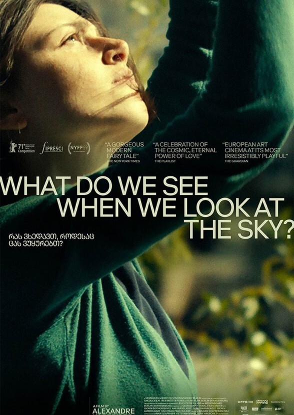 What Do We See When We Look at the Sky? (American Cast)