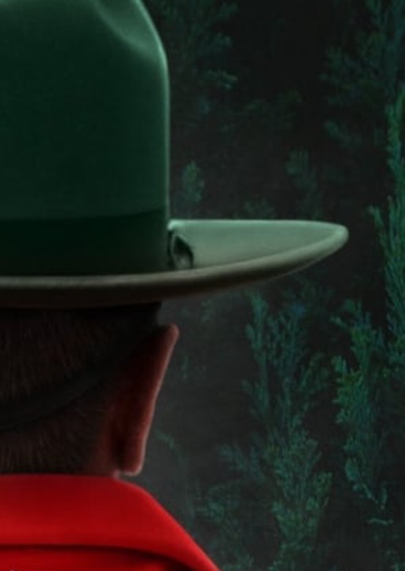 What Happened in the Woods