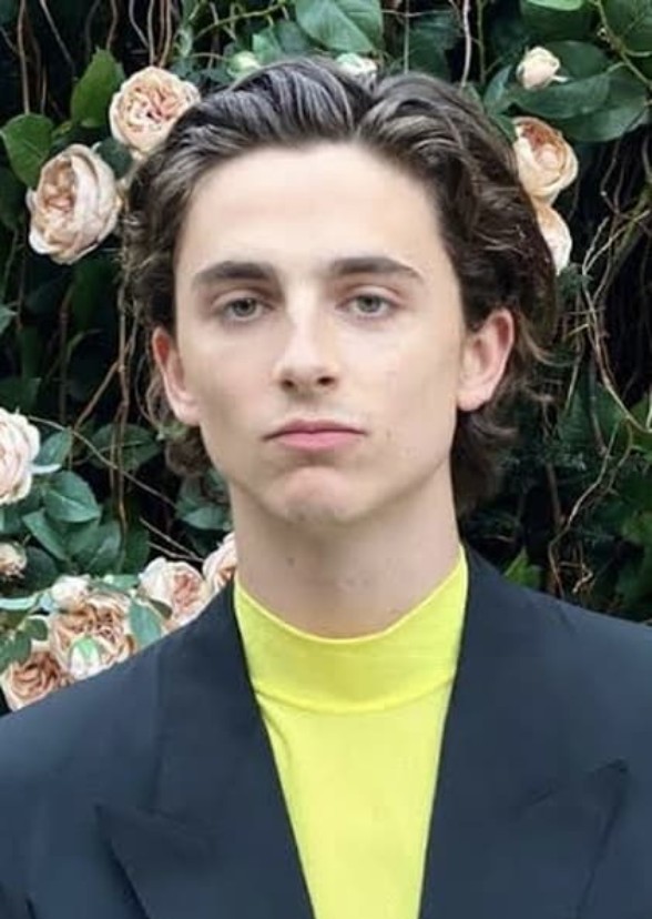 Which Characters Timothee Chalamet Should Play In Live Action