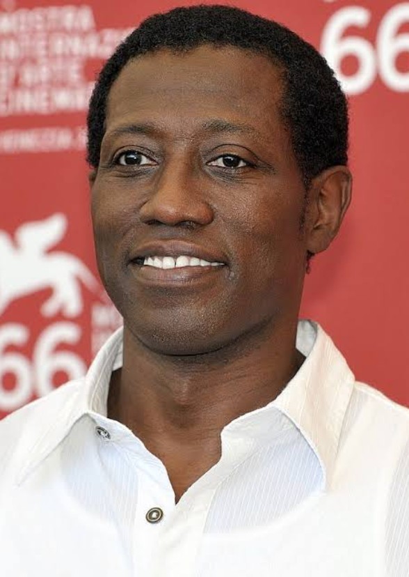Which Characters Wesley Snipes Should Play?