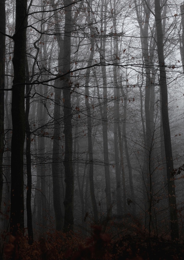 Whispering Pines