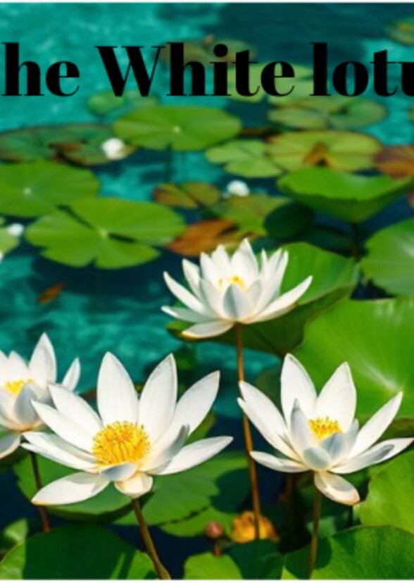 White lotus season 4 Fan Casting on myCast