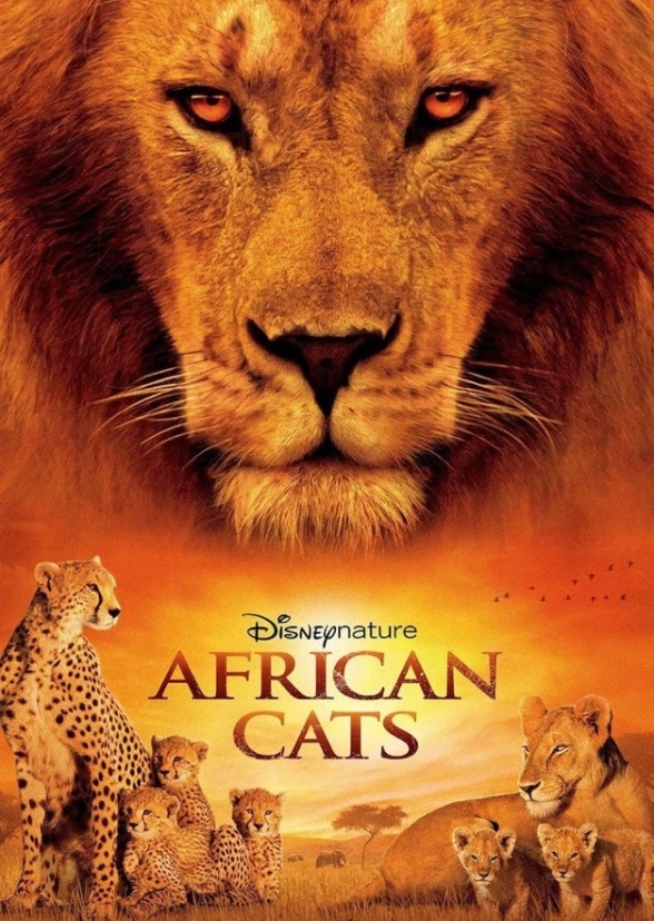 Wild Africa