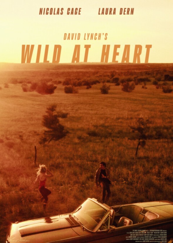 Wild at Heart (2000)