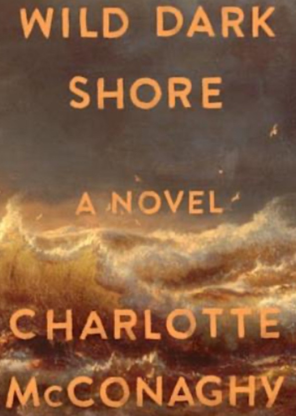 Wild Dark Shore