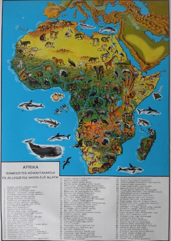 Wild Earth: Africa
