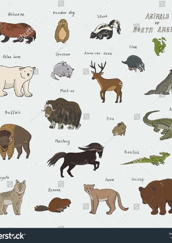 Wild Earth: North America