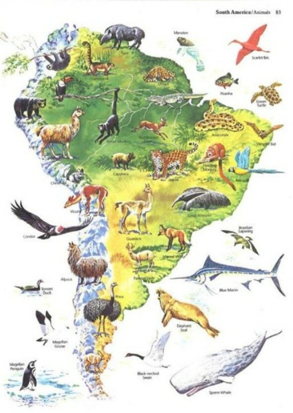 Wild Earth: South America (Documentary Series)