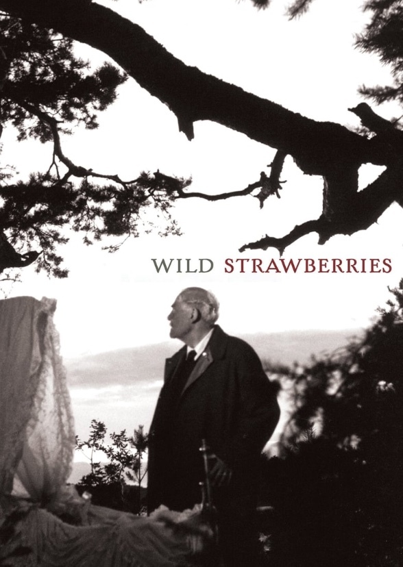 Wild Strawberries (2017)