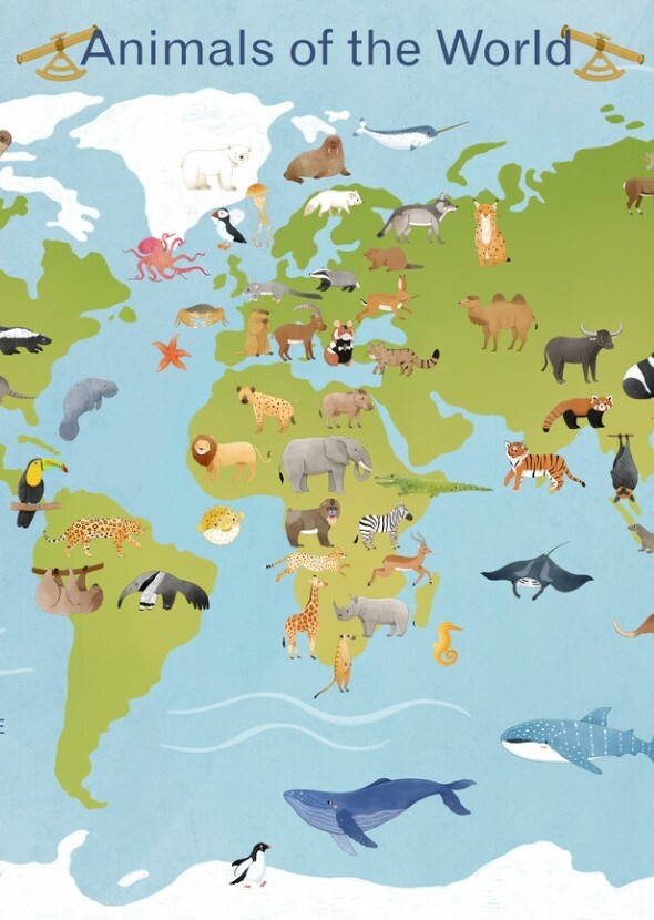 Wild Wonders: A Journey in Wildlife Conservation