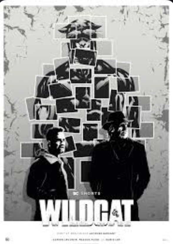 Wildcat