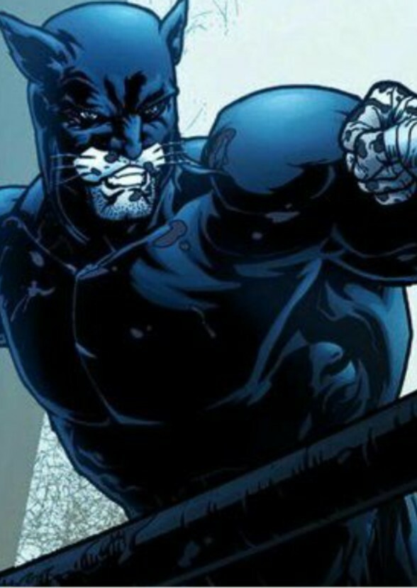 Wildcat (TV Series)