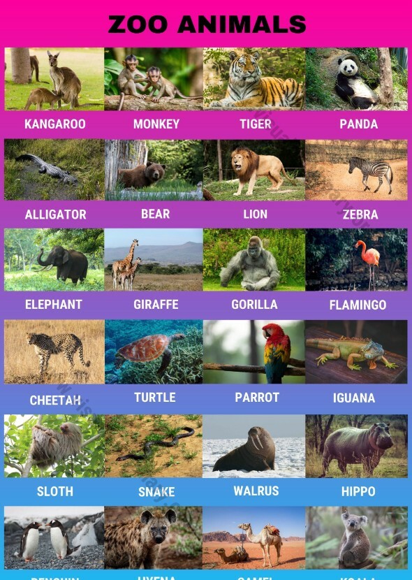 Wildlife on Earth