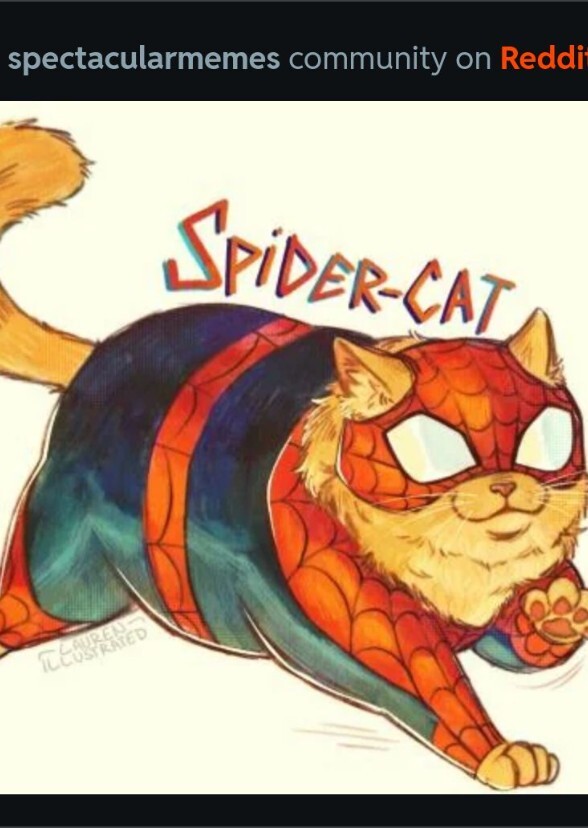 William defo as spider man cat Peter Parker