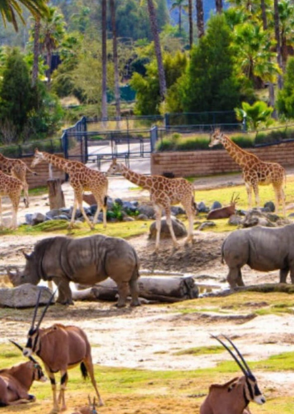 Windsor Zoo and Safari Park
