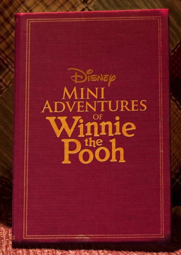 Winnie The Pooh