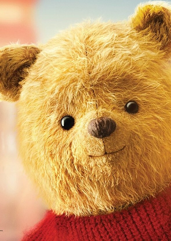 Winnie The Pooh: The Dome Of World