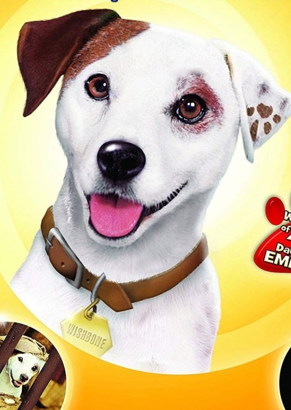 Wishbone
