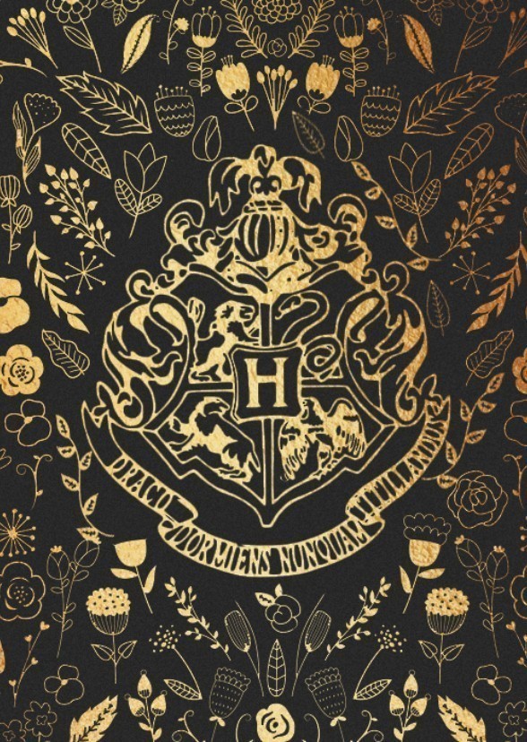 Wizarding World: The Founders of Hogwarts