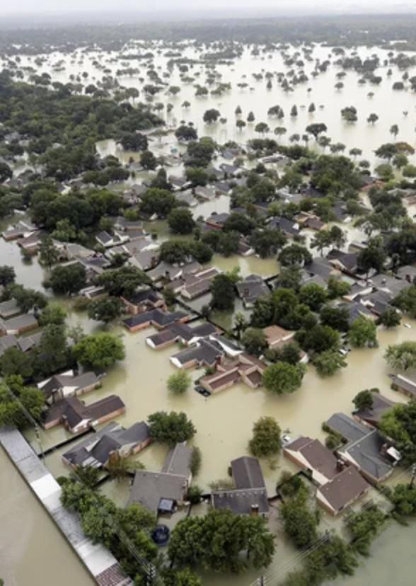 WoD: Bayou City in Ashes